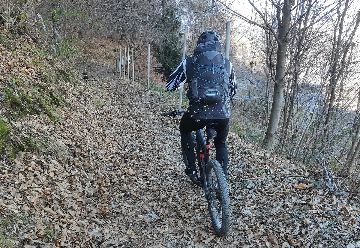 5 cimirlo campergheri