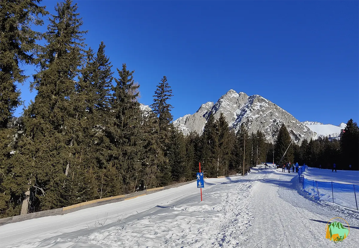 in bici sulla neve in alto adige