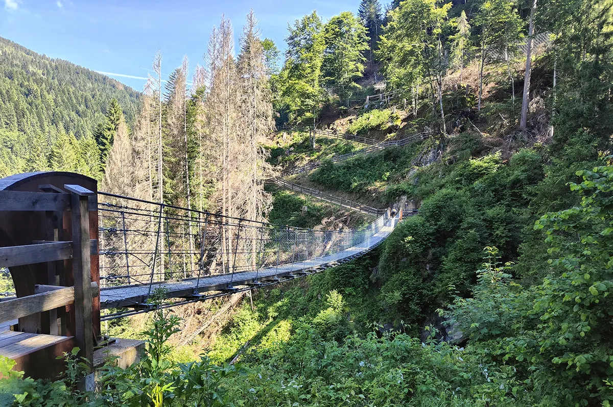 ponte funi primiero