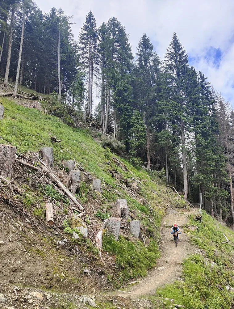 mtb primiero bike arena