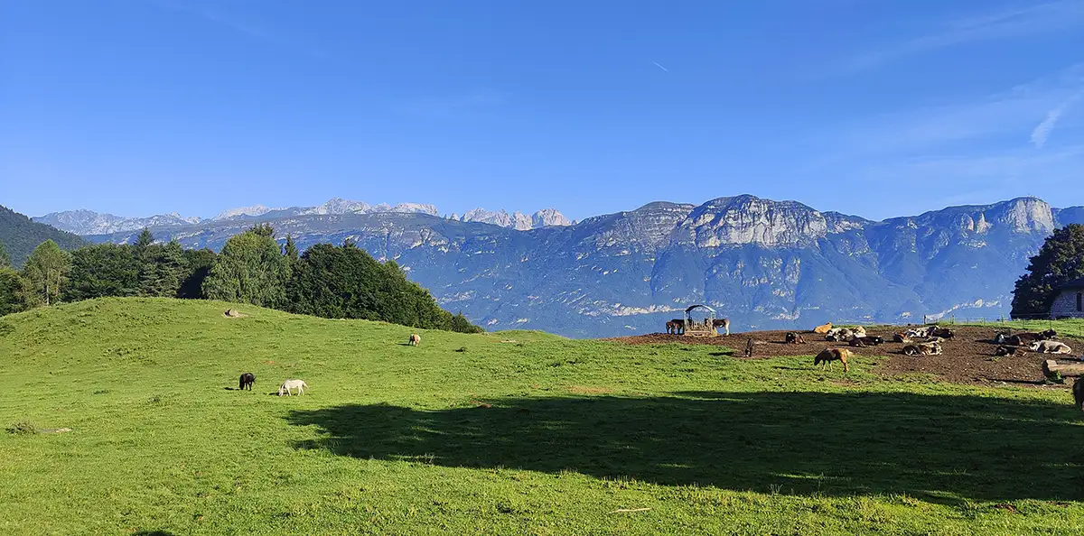 bondone panorama