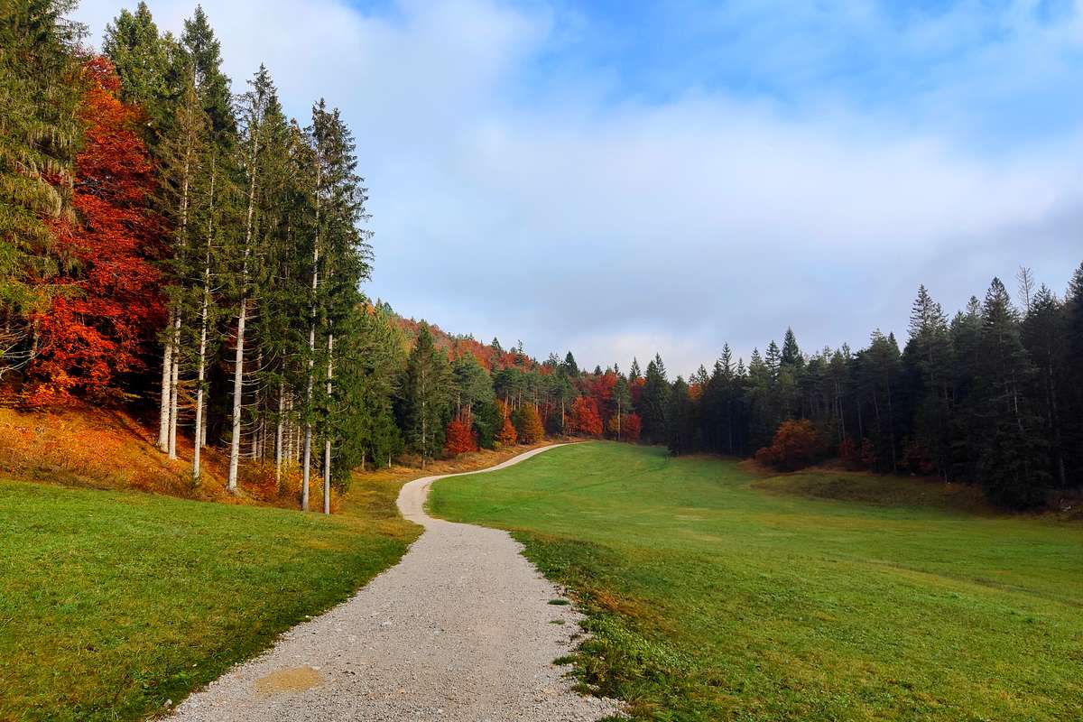 pradel mtb autunno