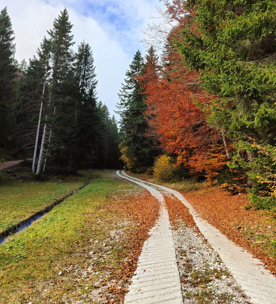 pradel mtb autunno