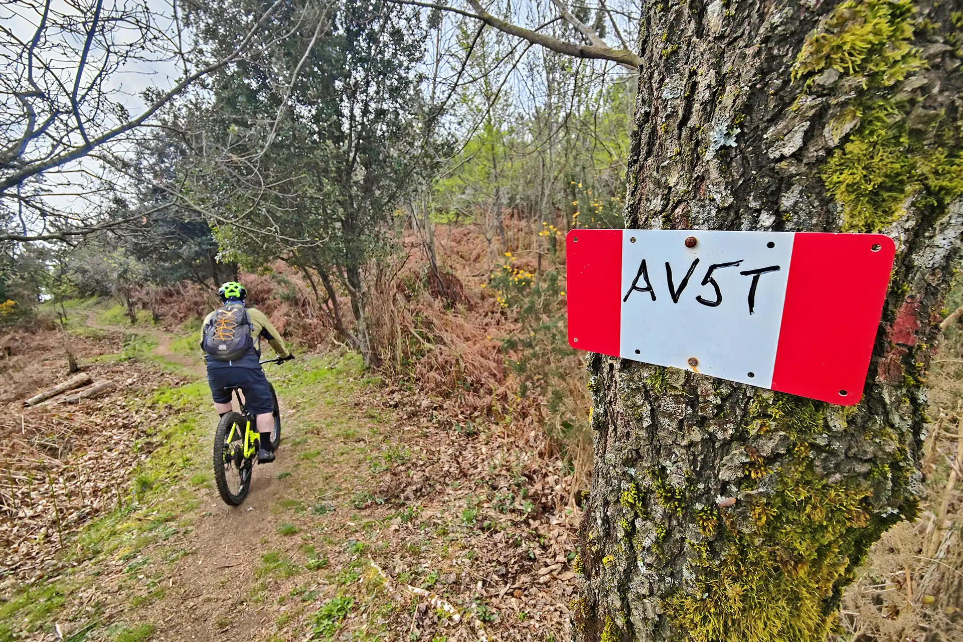 Alta Via delle 5 Terre in MTB