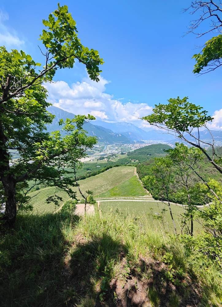 panorama bes