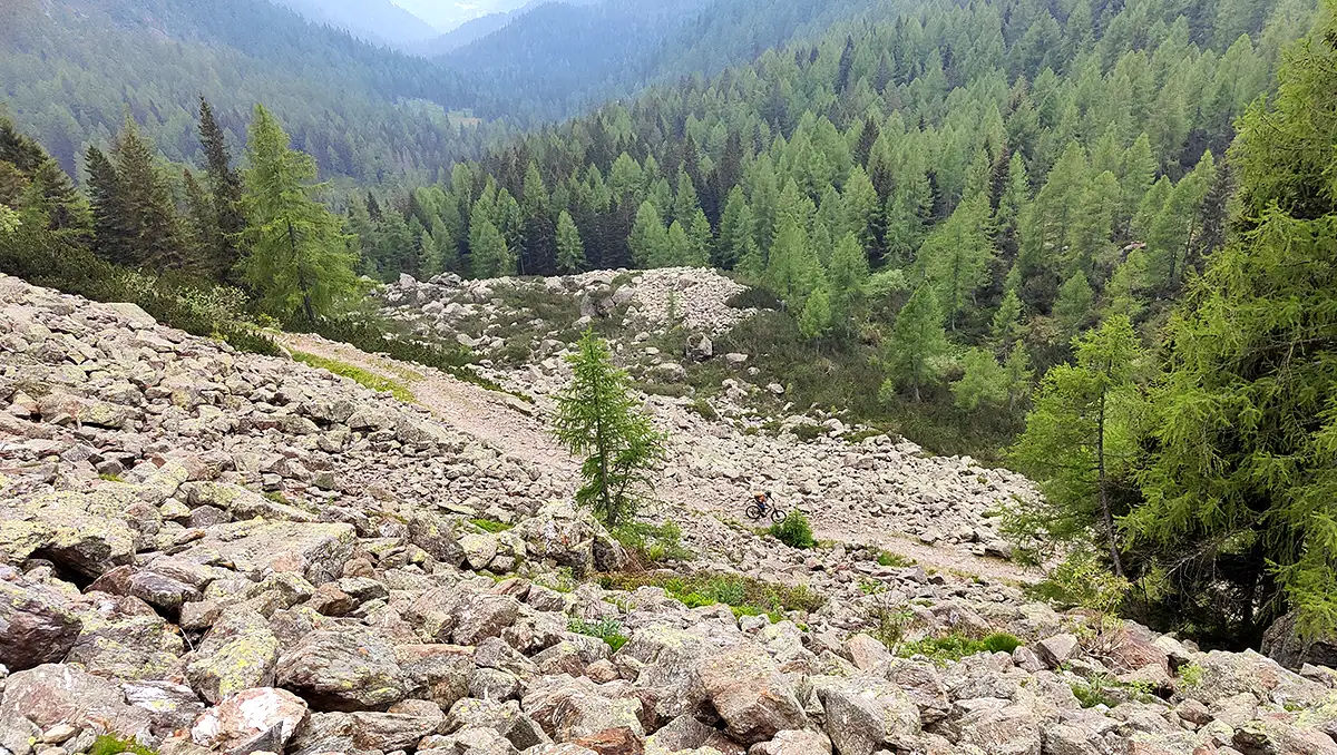  discesa malga sorgazza