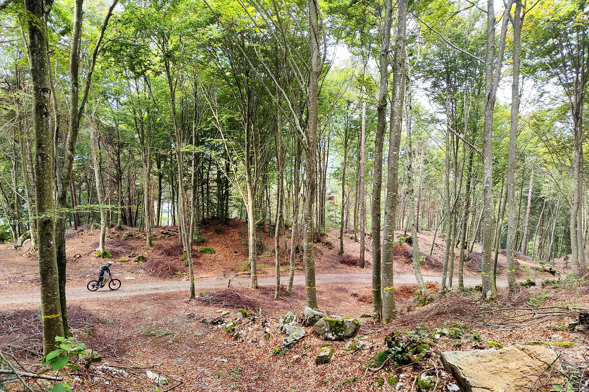 Bleggio Superiore in bici