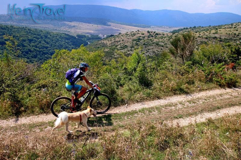sibillini mtb con il cane