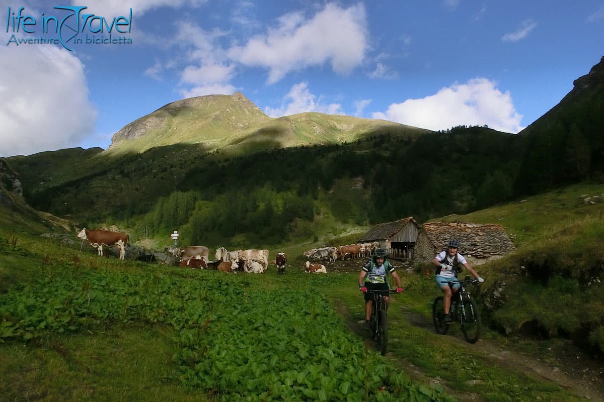 17 alpe devero grande est mtb
