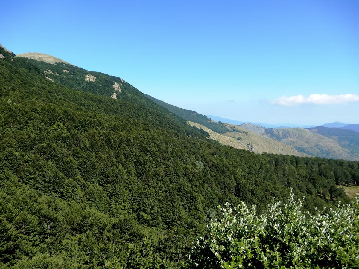 37 alta via alpi liguri mtb