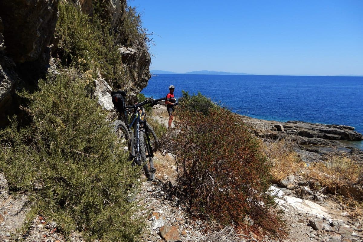 11 elba in mtb