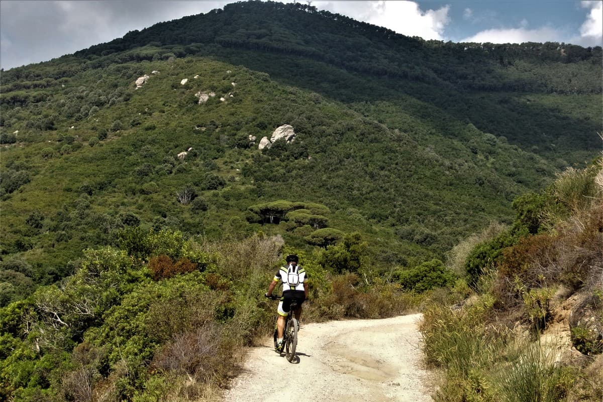 13 elba in mtb