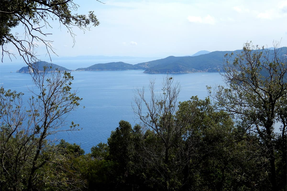16 elba in mtb