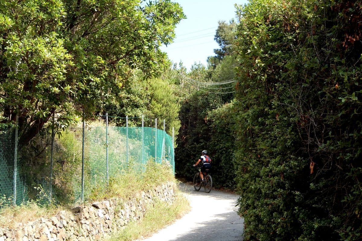 17 elba in mtb
