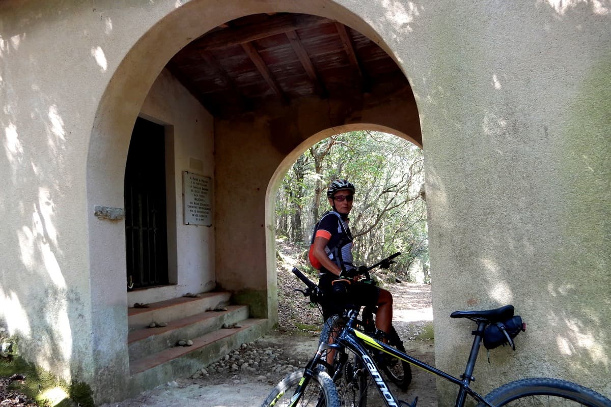 18 elba in mtb