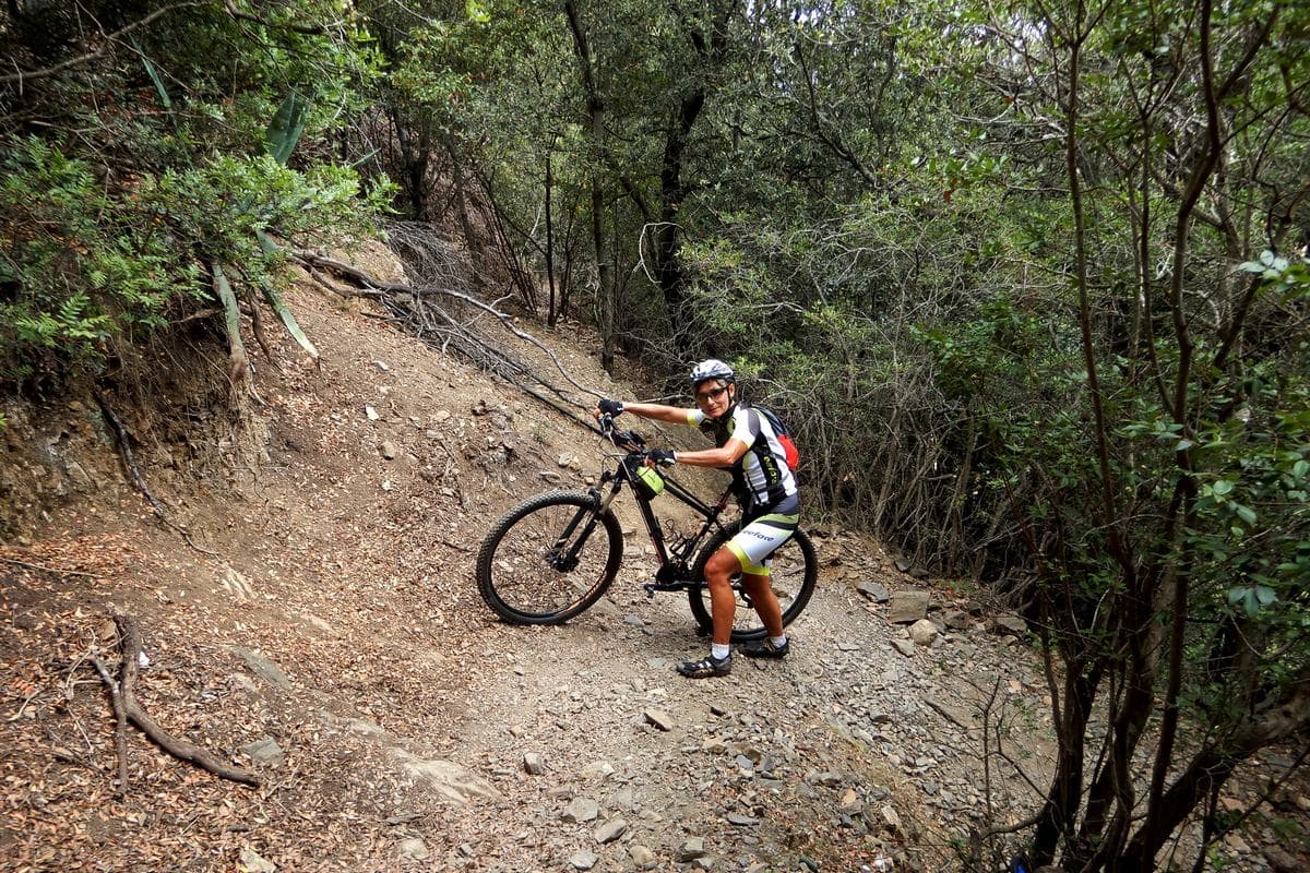 33 elba in mtb