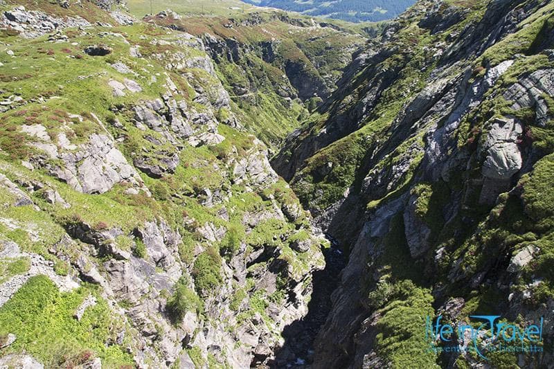 gola del cardinello