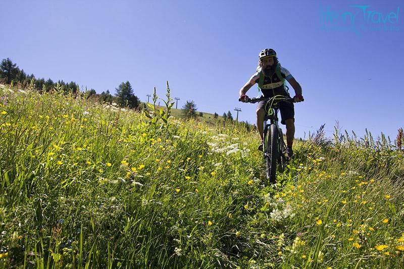 single trail nell erba