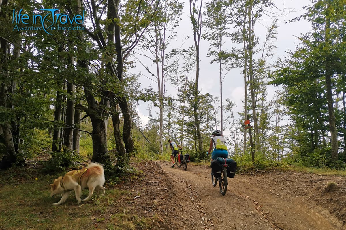 monte penna in bici