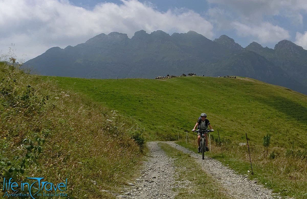 14 piani di artavaggio mtb