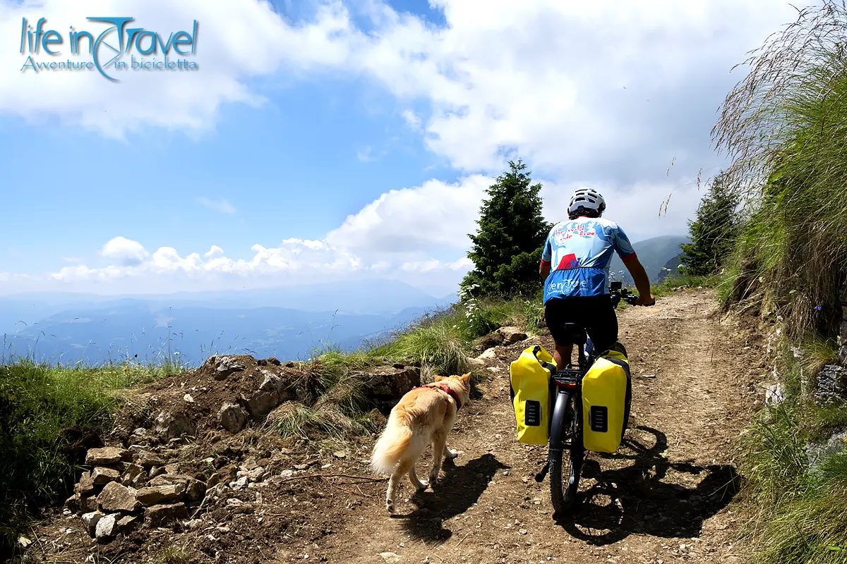 salita vette feltrine dolomiti bellunesi in bici