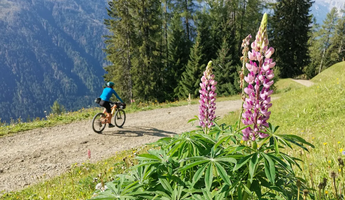 stoneman dolomiti sillian discesa