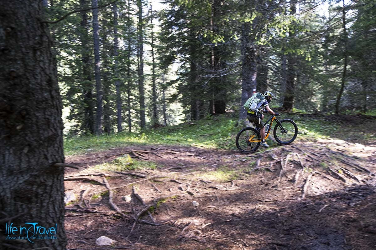 10 tofane e 5 torri mtb radici nel bosco