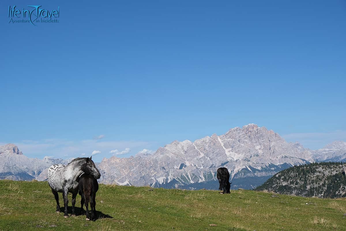 19 dolomiti venete