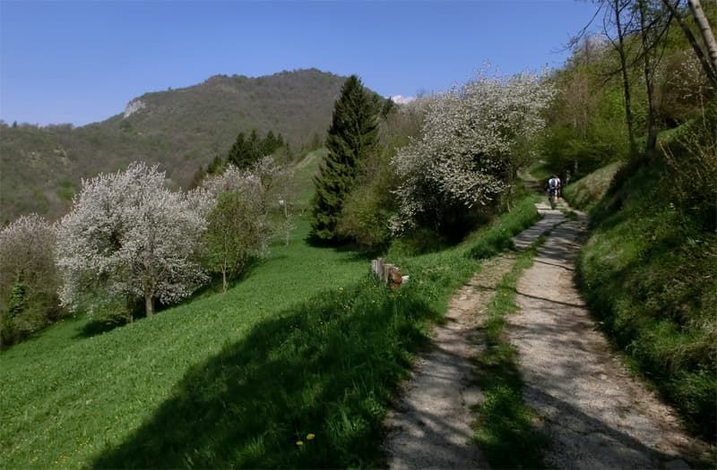 2 AGUEGLIO
