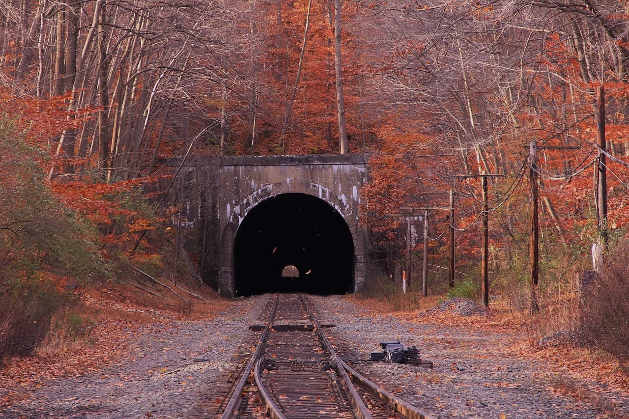 train