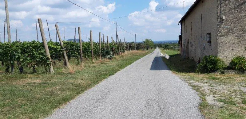 Bagnolo