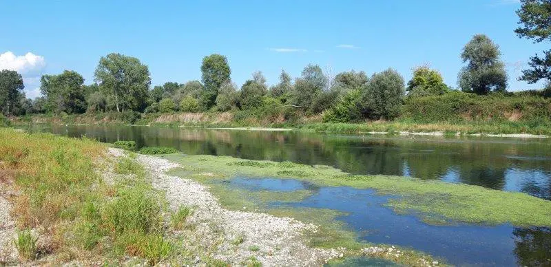 Lombriasco