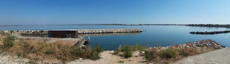 Rosolina