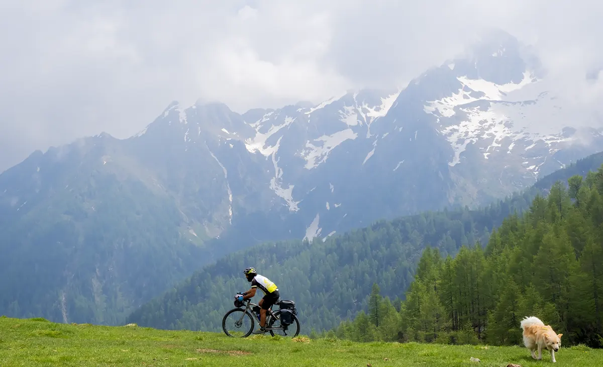 borse laterali bikepacking
