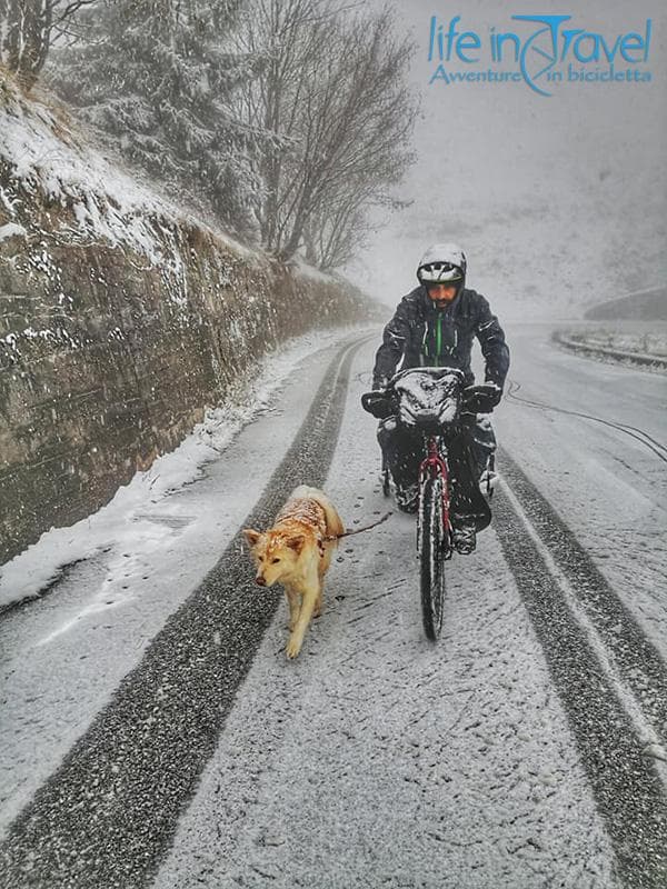 Nala e Leo neve