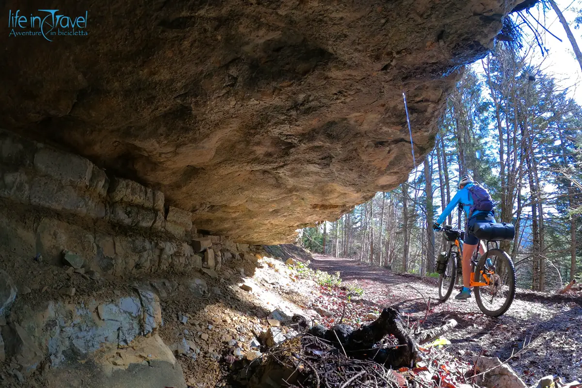 portapacchi per mtb aeroe