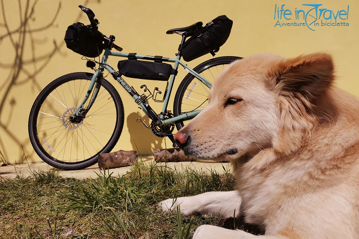 borse bikepacking economiche e Nala