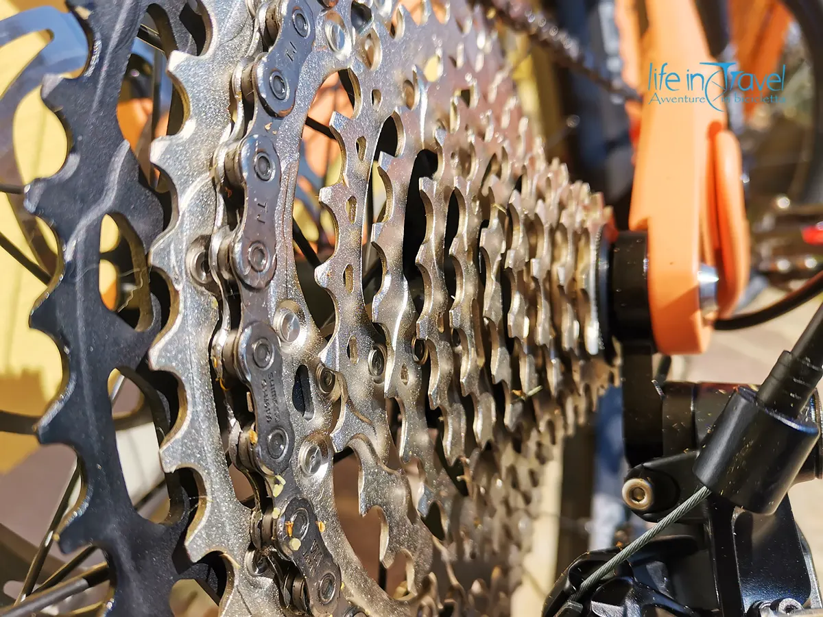 cambio bicicletta pacco pignoni