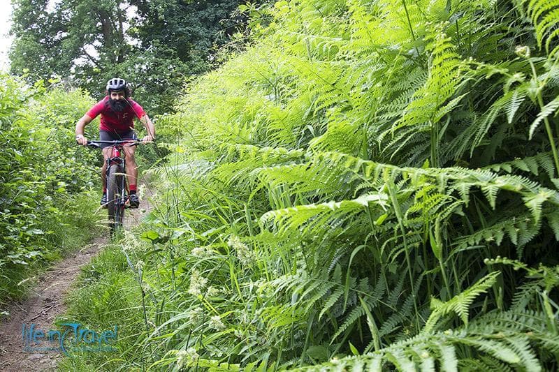 Rockrider decathlon 2018