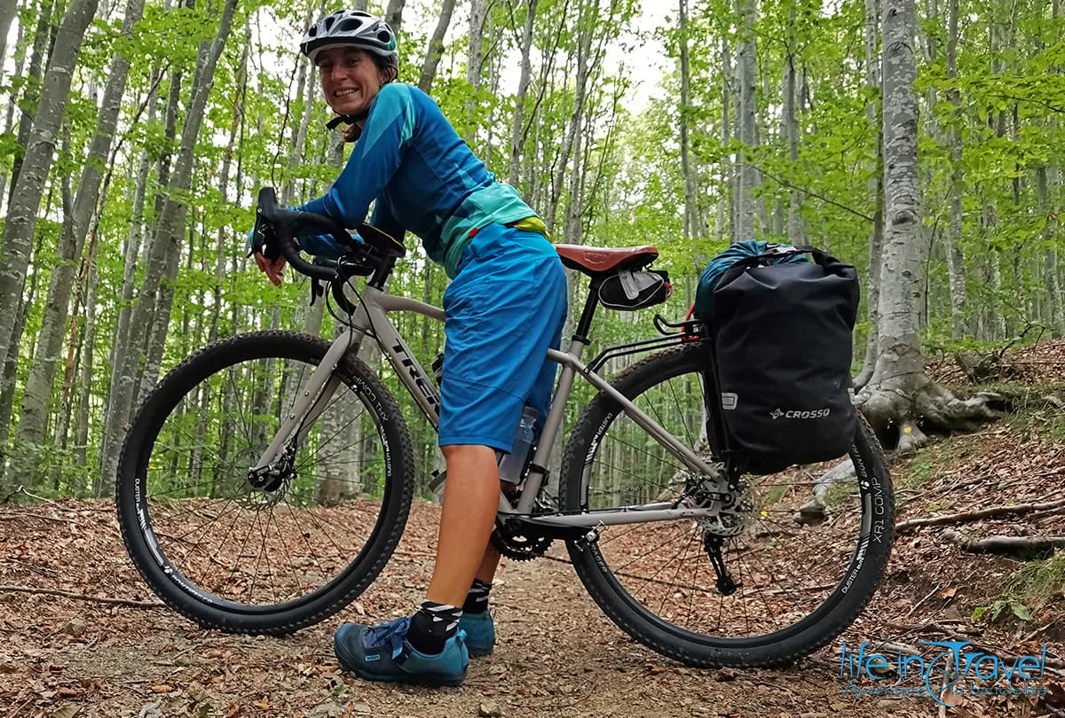 bici da viaggio trek 920