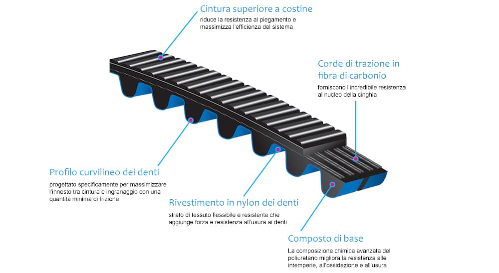 Trasmissione cinghia bici Belt Drive tecnologia Gates