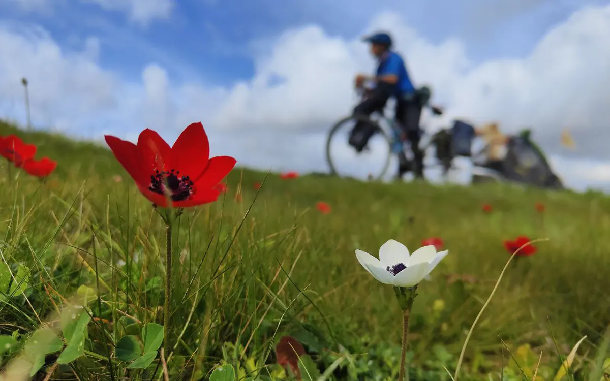 benefici andare in bici