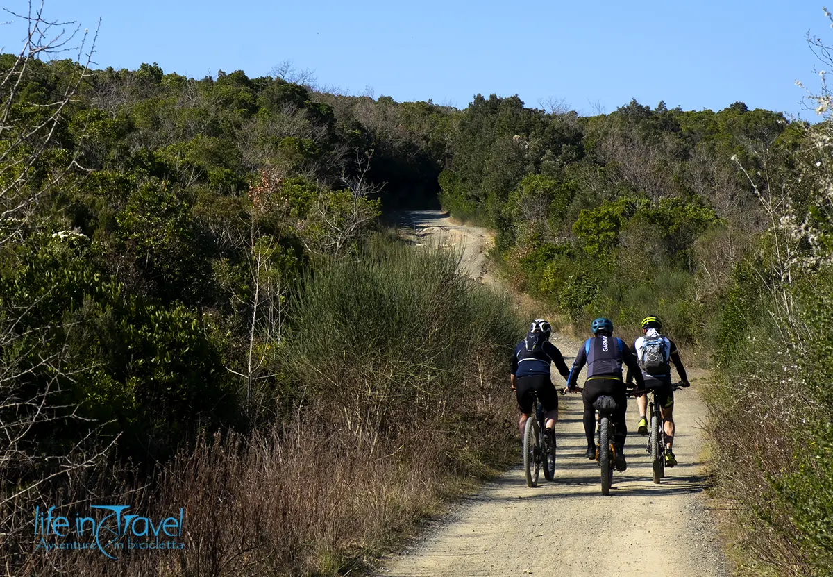 bici mountain bike