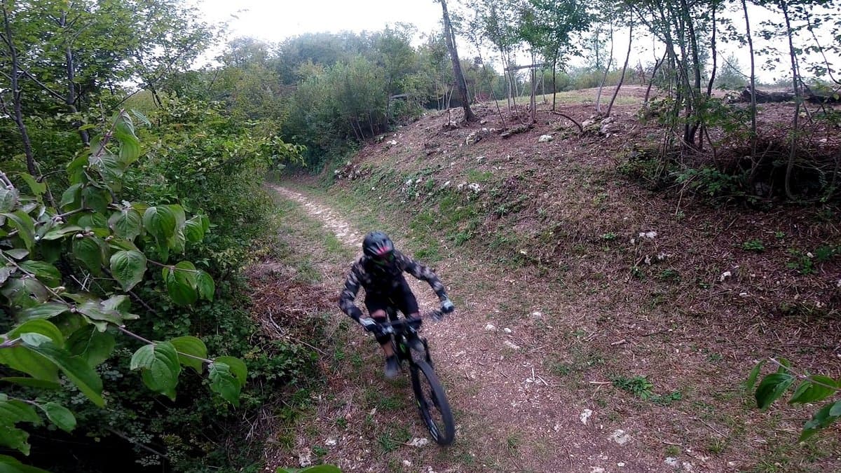 test decathlon rockrider al 100 alto