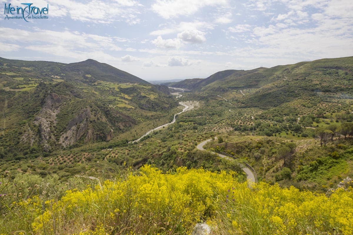 02 pollino