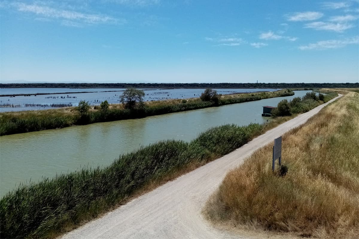delta del po in bici