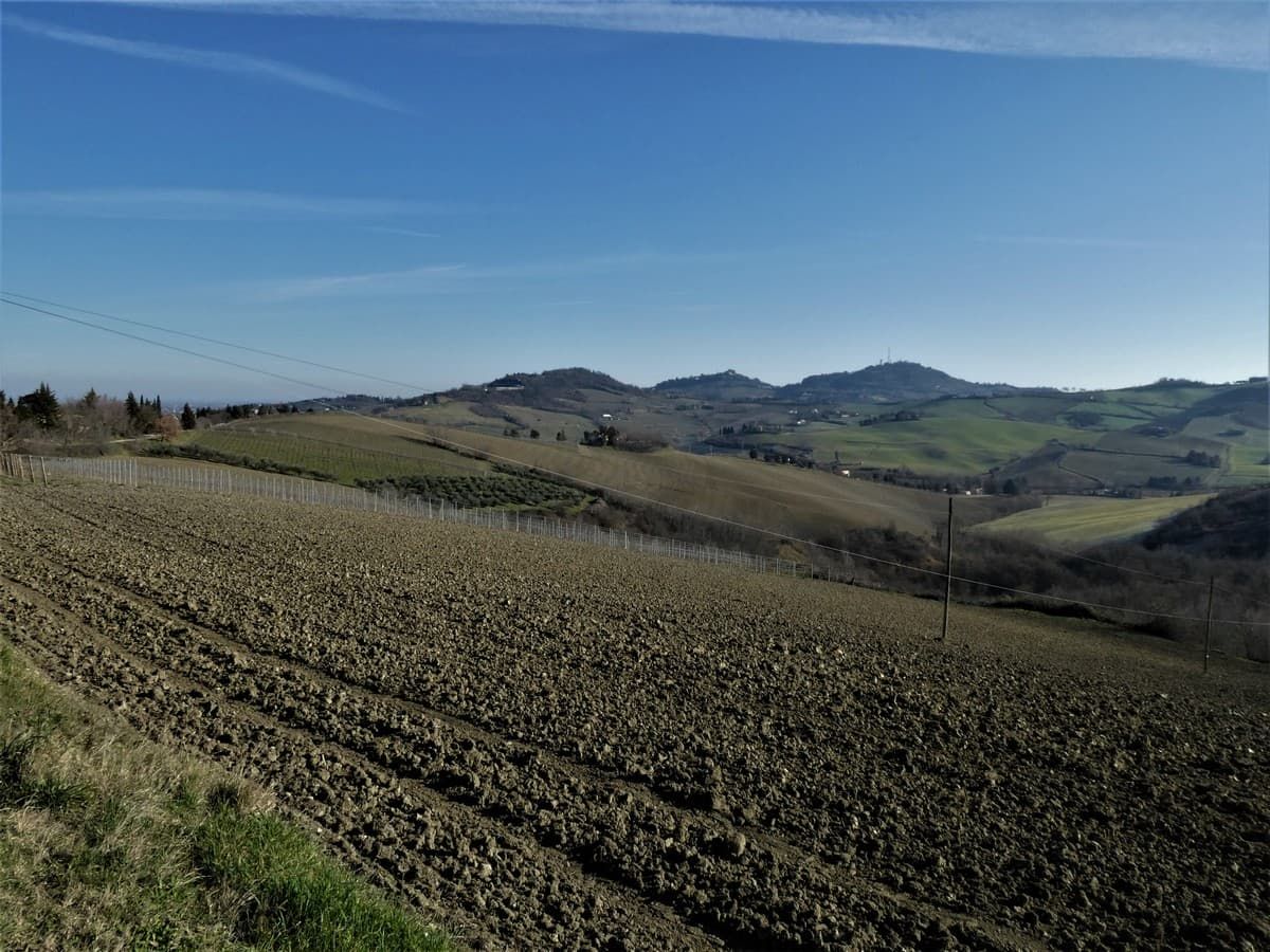 022   Dopo Fratta Terme