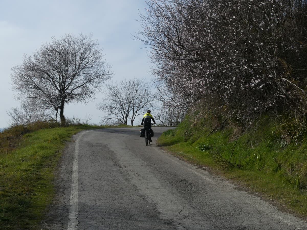 030   Verso Castrocaro