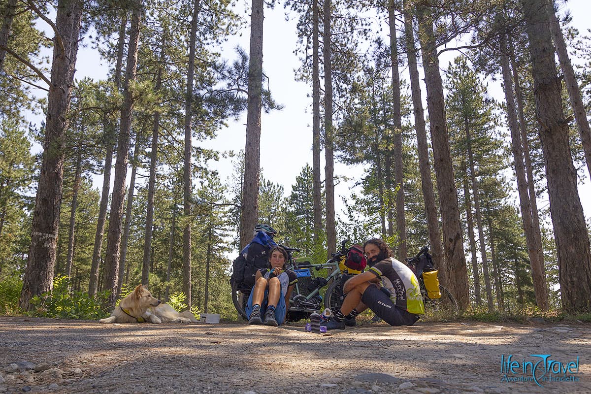 23 bulgaria in bic foresta rodopi