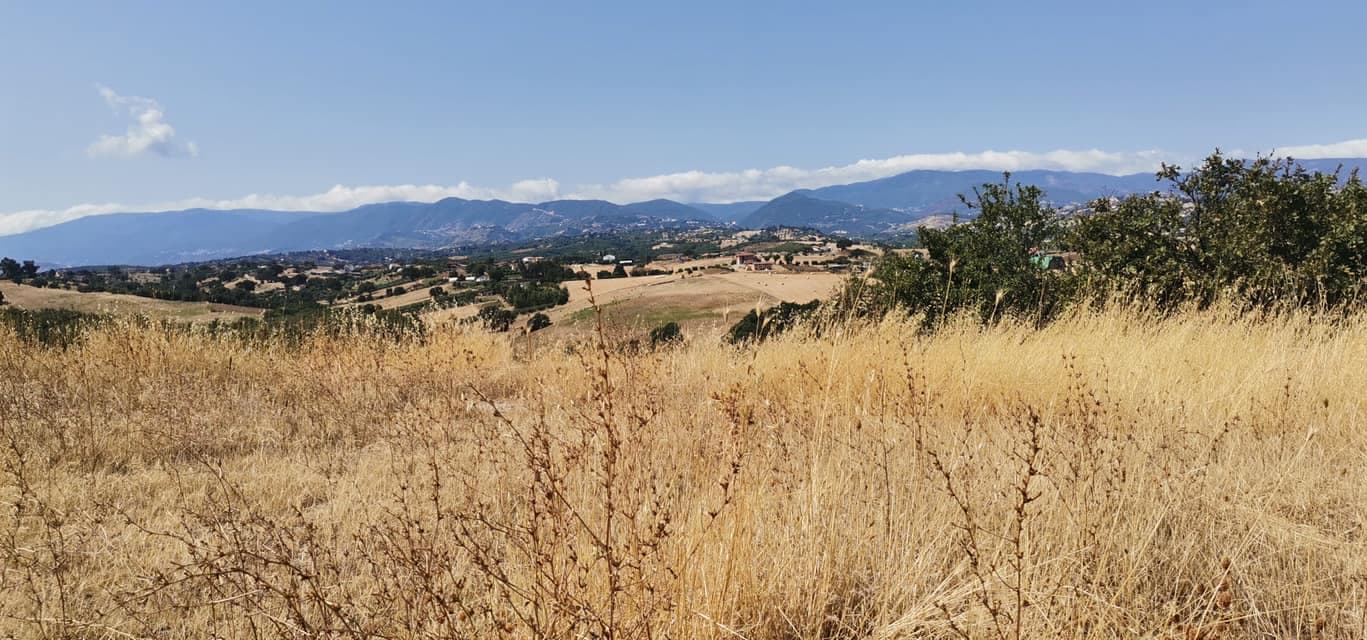 calabria in bici paesaggio estivo